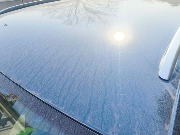 [南京·苏A] 二手大众蔚揽2021款 2.0T 舒行版