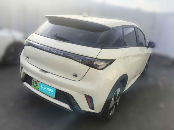 [深圳·粤B] 二手比亚迪海豚2023款 420km 自由版