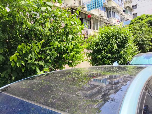 [上海·沪A] 二手别克微蓝62020款 插电混动 互联智慧型