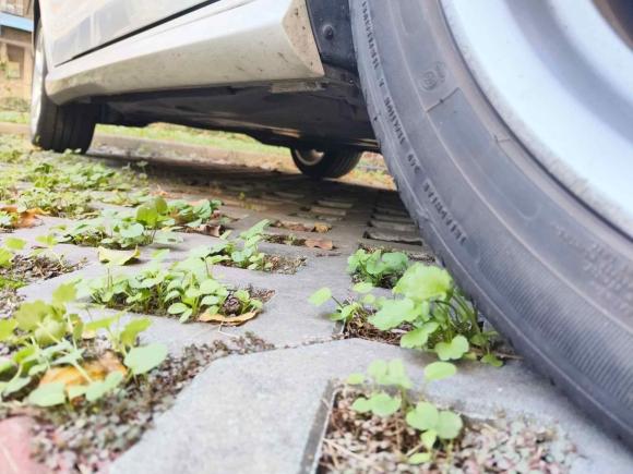 [南通·苏F] 二手奥迪奥迪A32020款 Sportback 35 TFSI 时尚型 国VI