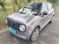 [广州·粤A] 欧拉欧拉黑猫2021款 351km 豪华型