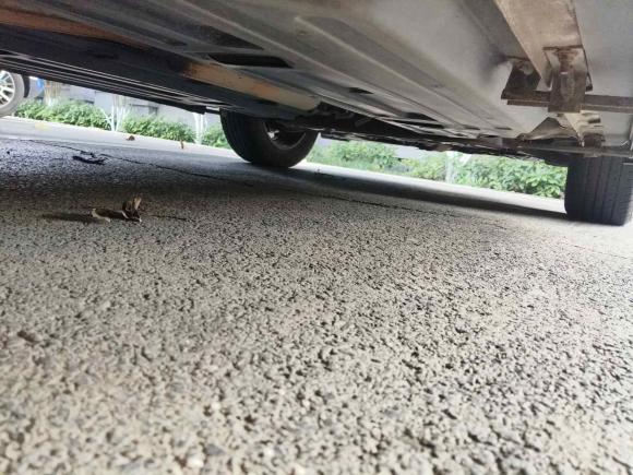 [嘉兴·皖R] 二手宝骏宝骏5102019款 1.5L 自动尊享型 国V