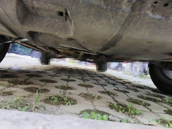 [合肥·皖A] 二手斯巴鲁森林人2010款 2.5XS 自动豪华版