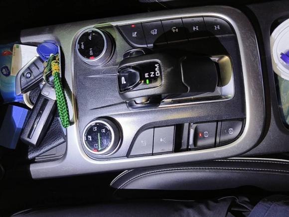 [上海·沪E] 二手坦克坦克3002021款 越野版 2.0T 征服者