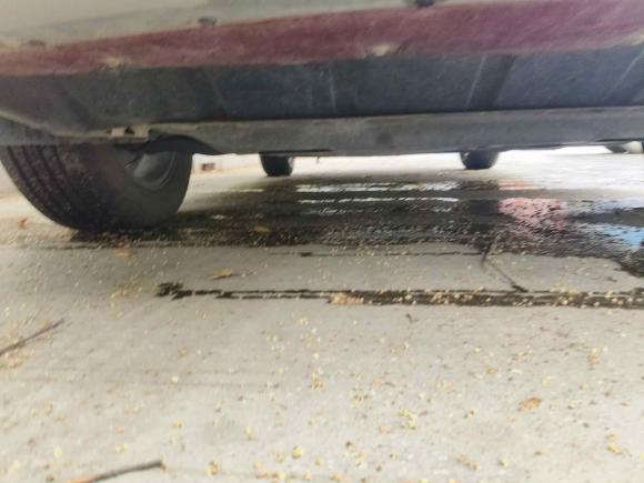 [上海·沪C] 二手比亚迪宋Pro2019款 1.5T 自动精英型