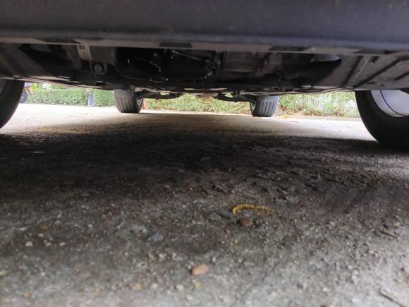 [广州·粤A] 二手凯迪拉克凯迪拉克XT42018款 28T 两驱豪华型