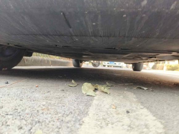 [嘉兴·浙F] 二手比亚迪海豚2021款 405km 时尚版