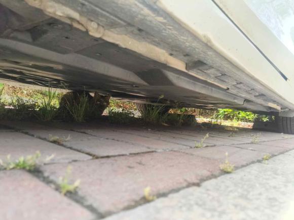 [宁波·浙B] 二手马自达马自达3 昂克赛拉2016款 三厢 1.5L 自动豪华型