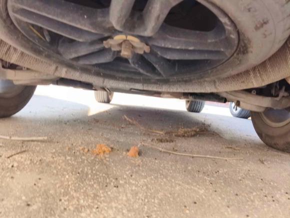 [济南·鲁A] 二手福特锐界2015款 2.0T GTDi 两驱铂锐型