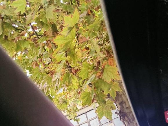 [西安·陕U] 二手别克昂科威2019款 28T 四驱精英型 国VI