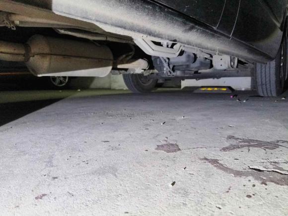 [青岛·鲁U] 二手上汽大通MAXUS新途V802021款 2.0T PLUS AMT城市版短轴超低顶7/8/9座