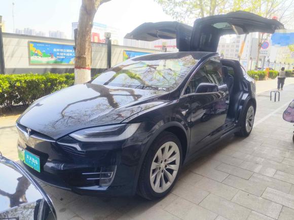 特斯拉Model X2016款 Model X 75D「青岛二手车」「天天拍车」