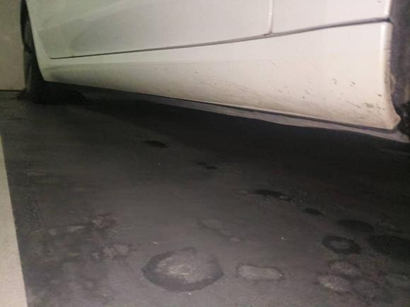 [苏州·苏E] 二手特斯拉Model 32020款 改款 标准续航后驱升级版