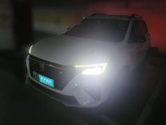 [上海·沪A] 荣威荣威RX5新能源2020款 ePLUS 国潮荣麟豪华版