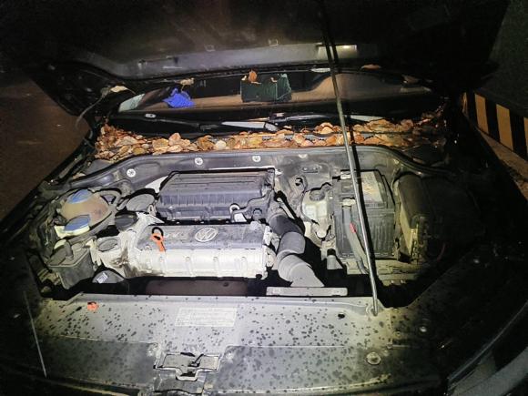 [杭州·苏L] 二手大众速腾2011款 1.6L 手动舒适型