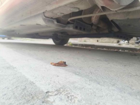 [西安·陕U] 二手大众Polo2011款 1.4L 手动致尚版