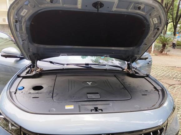 [武汉·鄂A] 二手岚图汽车岚图FREE2021款 四驱标准纯电专属豪华套装