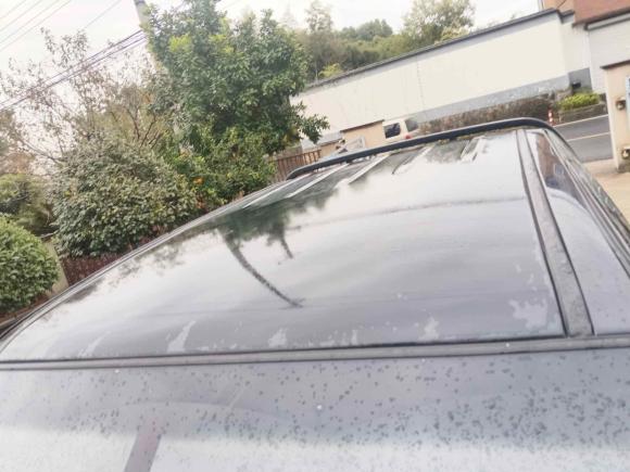 [杭州·浙A] 二手长城风骏52023款 干饭版 1.5T 汽油两驱进取型长货箱