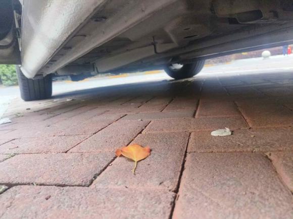 [宁波·浙B] 二手别克君威2014款 1.6T 时尚技术型