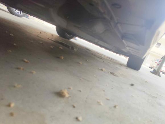 [济南·鲁A] 二手日产天籁2011款 公爵 2.5L XV尊雅版