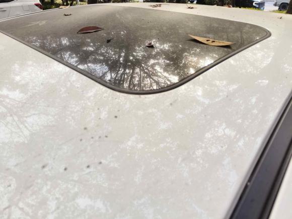 [上海·苏U] 二手马自达马自达3 昂克赛拉2021款 2.0L 自动质雅版