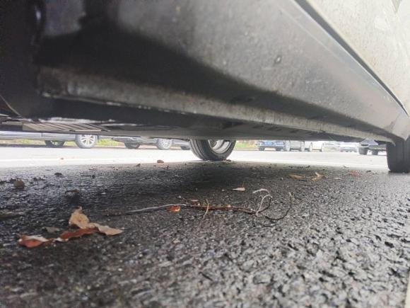 [义乌·浙G] 二手欧拉欧拉黑猫2019款 351km 亲子版