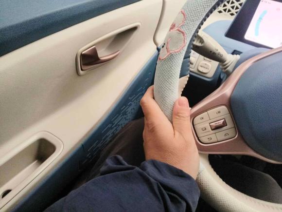 [合肥·皖A] 二手东风风光风光MINIEV2022款 糖果款 微糖