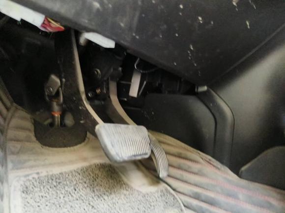 [青岛·鲁B] 二手欧拉欧拉黑猫2019款 301km 标准版