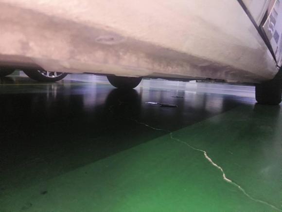 [杭州·浙A] 二手欧拉欧拉黑猫2019款 351km 灵趣版