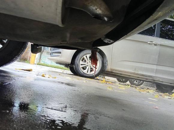 [西安·陕A] 二手大众宝来2012款 1.6L 自动舒适型