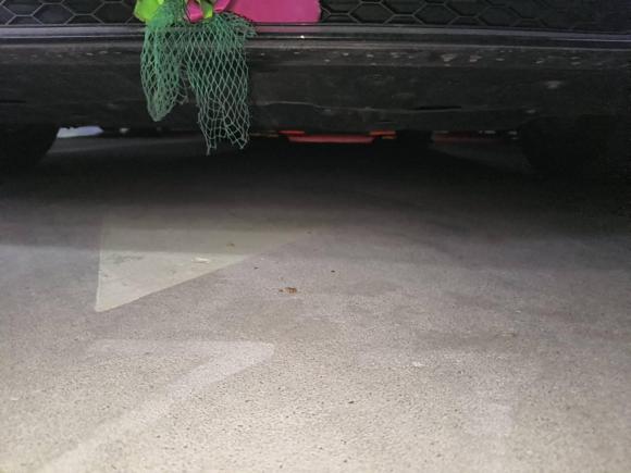 [苏州·苏E] 二手小鹏小鹏P72021款 480N