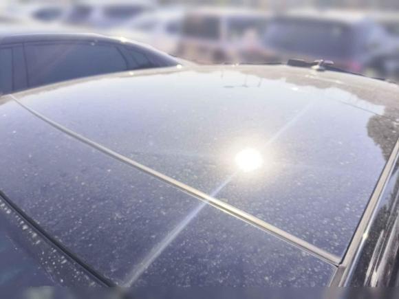 [宁波·浙B] 二手大众尚酷2010款 2.0TSI 豪华版