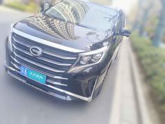 [南京·苏A] 广汽传祺传祺M82023款 领秀系列 390T 尊享版