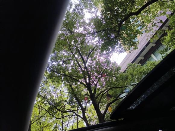 [上海·沪B] 二手别克别克GL62018款 18T 6座尊贵型