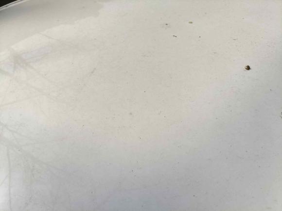 [常州·苏D] 二手荣威科莱威CLEVER2020款 都市风尚版