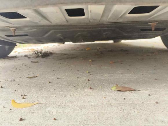 [广州·粤R] 二手雪佛兰科鲁泽2020款 轻混 RS 330T 自动畅快版