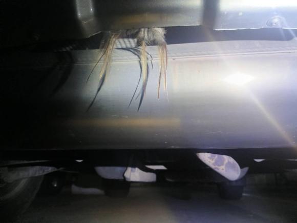 [成都·川A] 二手路虎神行者22013款 2.2T SD4 SE柴油版