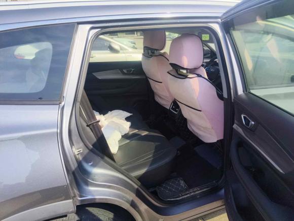 [宁波·浙F] 二手奇瑞瑞虎82021款 鲲鹏版 290TGDI 自动逐风版