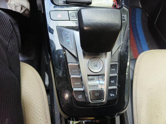 [宁波·浙B] 二手比亚迪元新能源2019款 EV535 智联领动型