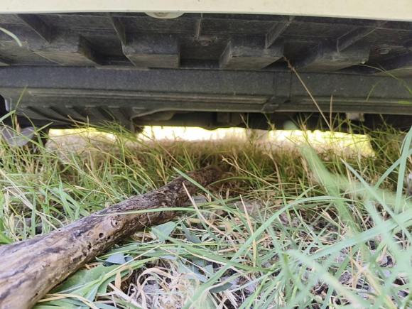 [西安·陕U] 二手吉利汽车远景2020款 1.5L 手动亚运版