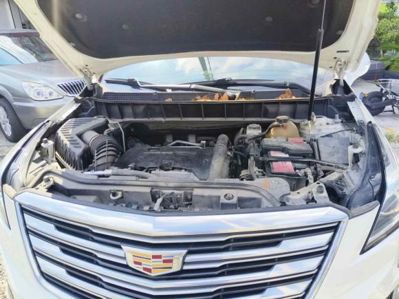 [上海·沪K] 二手凯迪拉克凯迪拉克XT52017款 周年庆版 25T 豪华型