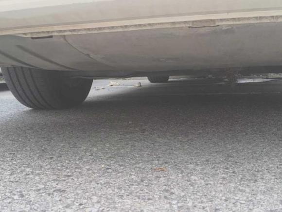 [青岛·鲁B] 二手大众宝来·纯电2020款 尚