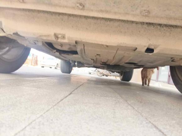 [济南·鲁A] 二手哈弗哈弗H62017款 红标 2.0T 自动两驱智尚型