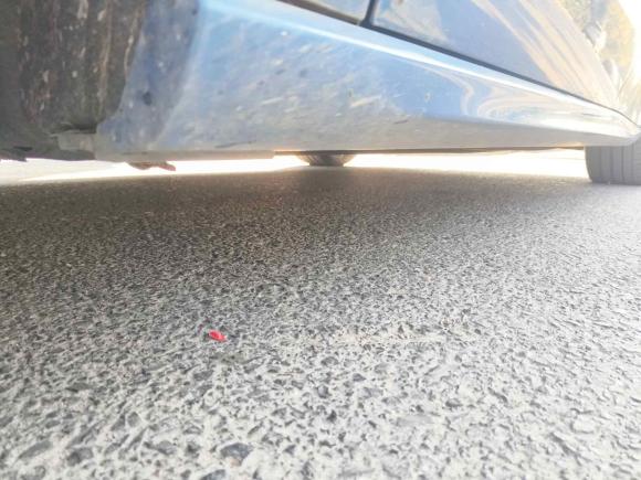 [上海·沪F] 二手福特福克斯2021款 两厢 EcoBoost 180 自动ST Line