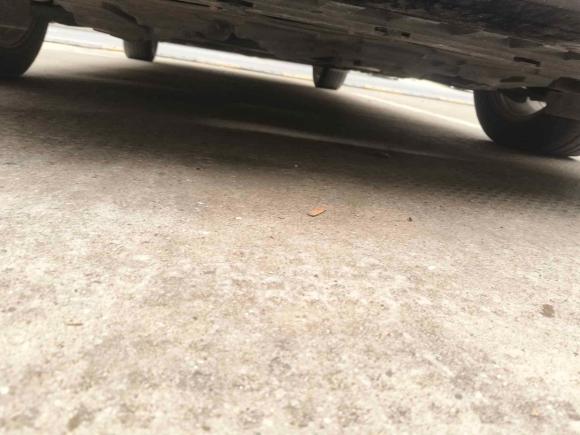 [嘉兴·浙F] 二手日产轩逸2016款 1.6XL  CVT尊享版