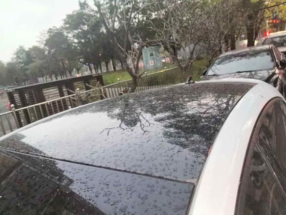 [深圳·桂K] 二手福特福克斯2022款 两厢 EcoBoost 180 自动ST Line