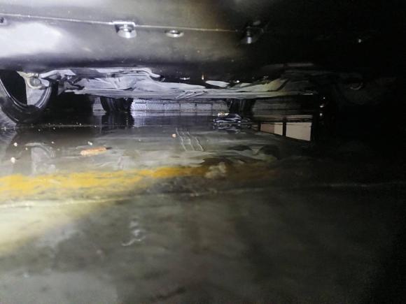 [青岛·鲁A] 二手特斯拉Model Y2021款 标准续航后驱版