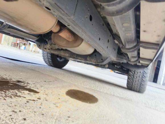 [上海·皖J] 二手坦克坦克3002021款 越野版 2.0T 征服者