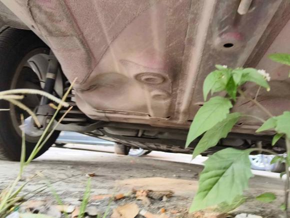 [温州·浙C] 二手本田锋范2015款 1.5L CVT豪华版