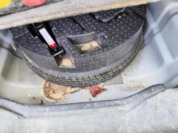 [武汉·鄂J] 二手名爵锐行2016款 1.5L 自动超值豪华版